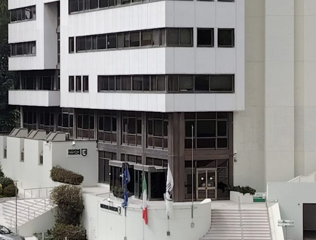 papa-4-e1745255721563-650x494