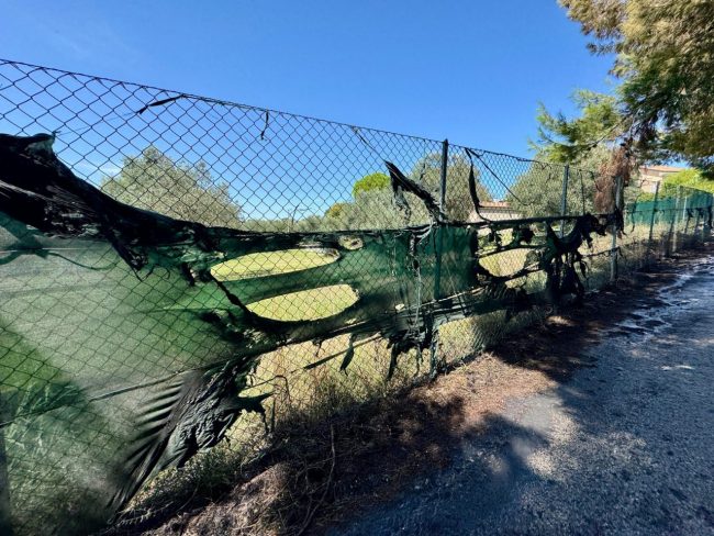 incendio-autostrada-alberi-via-doria-2-650x488