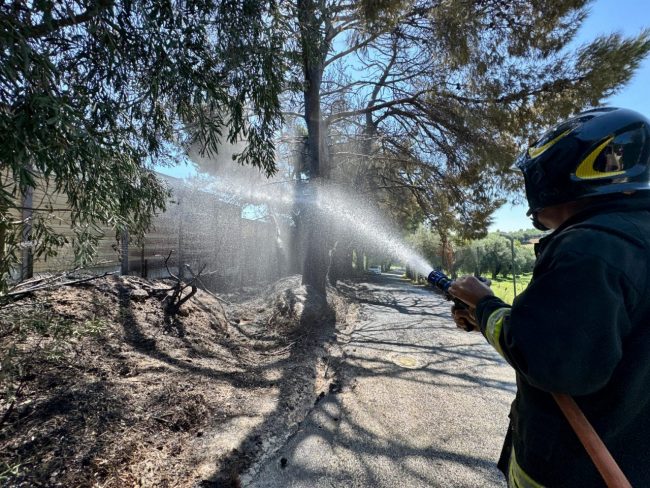 incendio-autostrada-alberi-via-doria-4-650x488