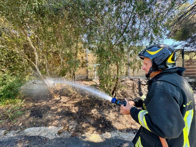 incendio-autostrada-alberi-via-doria-6-1-650x488
