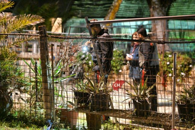 assalto-portavalori-carabinieri-e-scientifica-porto-potenza-picena-green-garden-FDM-1-650x433