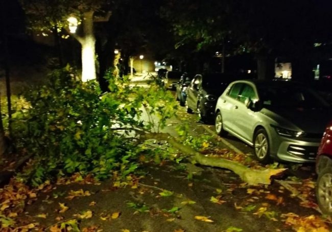 vdf-civitanova-rami-strada1-e1761290675664-650x454