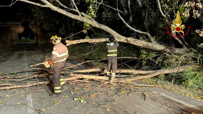 vdf-maltempo-interventi1-650x365