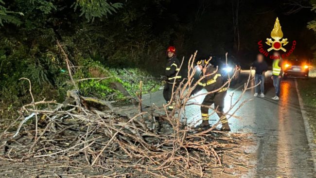 vdf-maltempo-interventi4-650x366