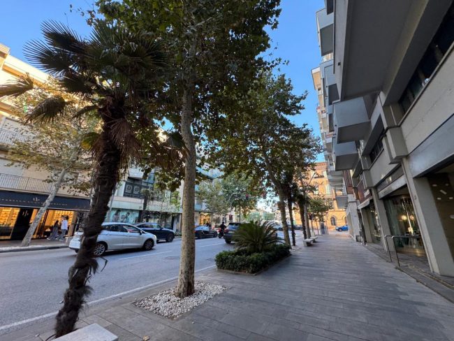 vetrine vuote centro civitanova (1)