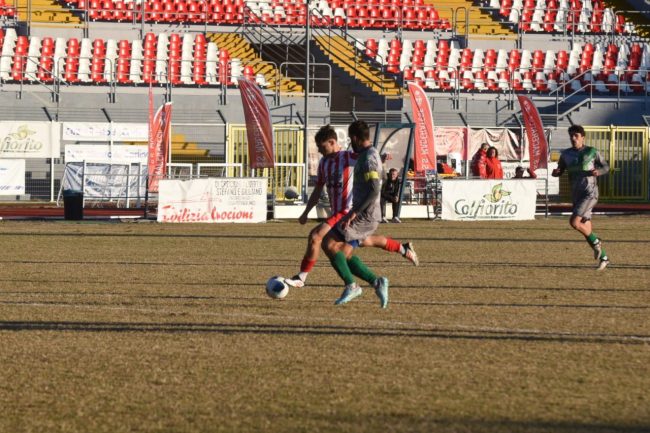 Maceratese-1-1-650x433