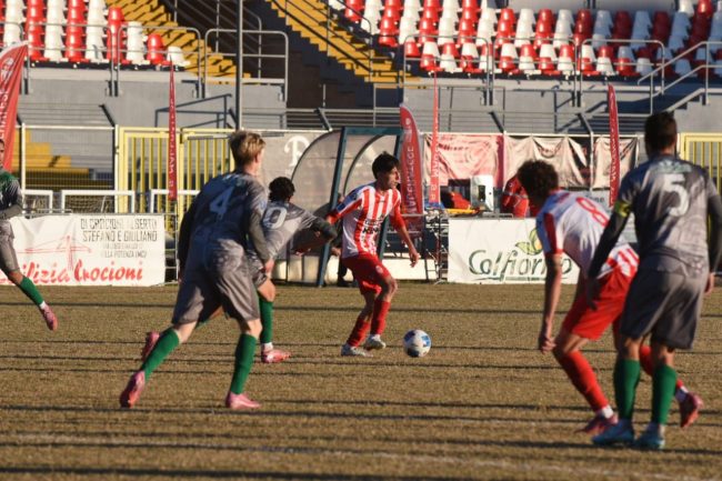 Maceratese-2-1-650x433