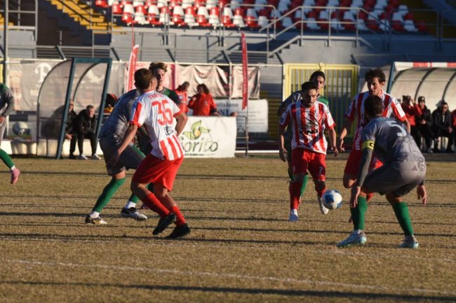 Maceratese-3-1-650x433