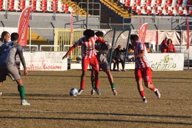 Maceratese-4-1-650x433