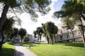 WhatsApp-Image-2025-11-27-at-11.01.45-325x217