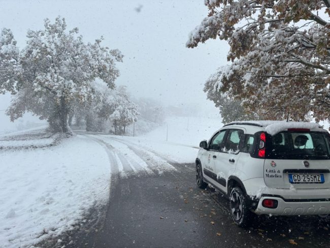 neve-matelica4-650x488