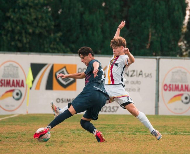 osimana-civitanovese-2-650x528