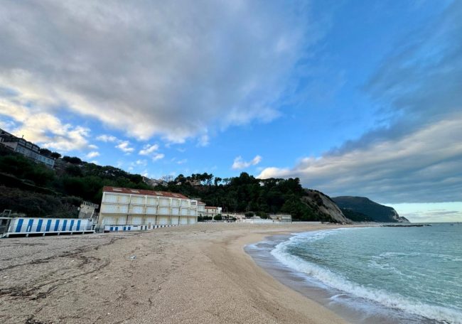 foca-monaca-11-650x456