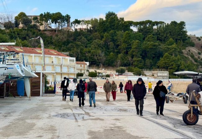 foca-monaca-12-650x448