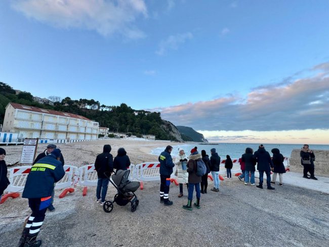 foca-monaca-3-650x488