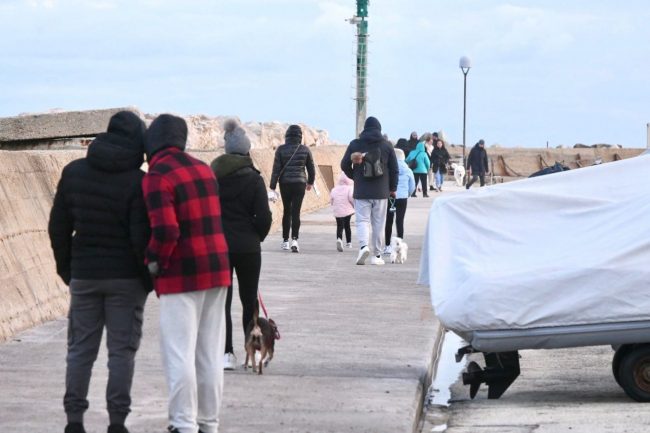 foca-monaca-4-650x433