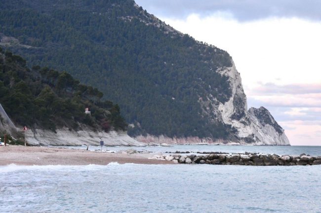 foca-monaca-5-650x433