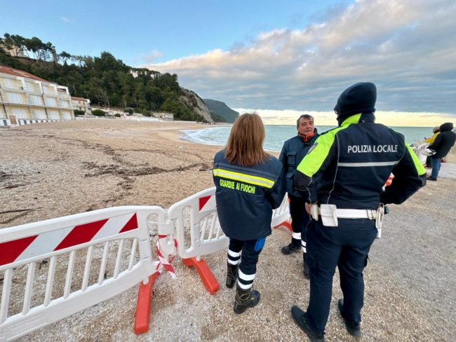 foca-monaca-6-650x488