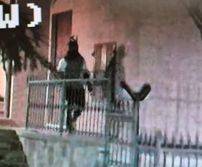 ALMA-5-e1768630748521-650x538