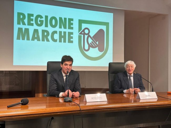 acquaroli_elisei-4-650x488