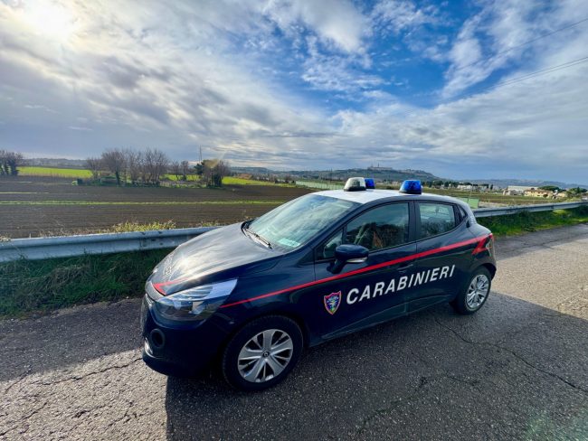 caracasse-cani-scossicci-9-2-650x488