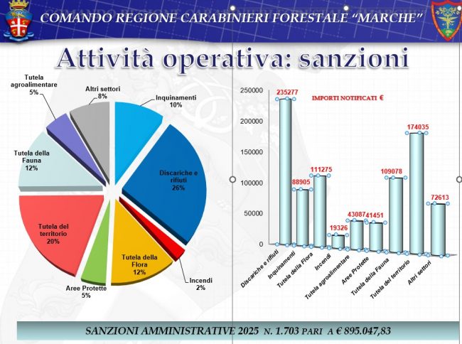 forestali-carabinieri-1-650x484