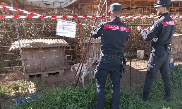 forestali-carabinieri-2