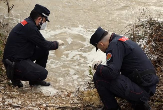 forestali-carabinieri-3-650x442