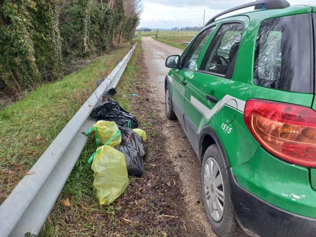 resti-cani-carcasse-3-650x488