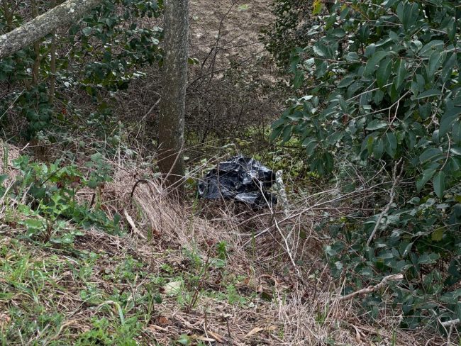 sacchi-scossicci-1-650x488