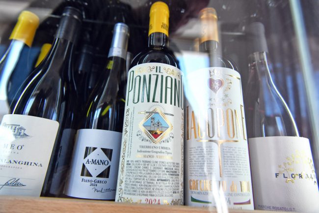 g beach - lungomare sud civitanova - FDM (2)