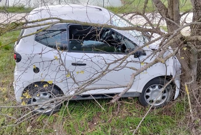 minicar rotacupa (1)