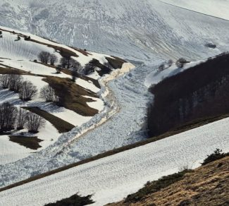 0212d9f4-6a80-406c-8eae-77fc8a212599-e1775899244584-325x292