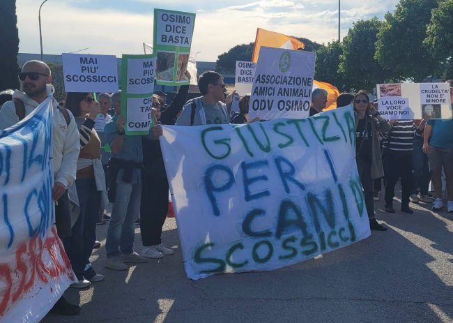 672683148_2555318254923518_4189319610970859934_n-650x463