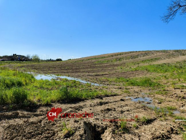 Area Nuovo Ospedale_FF-5
