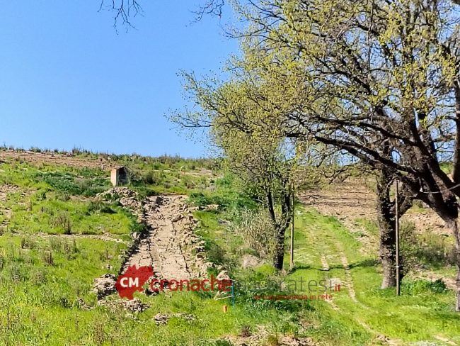 Area Nuovo Ospedale_FF-8