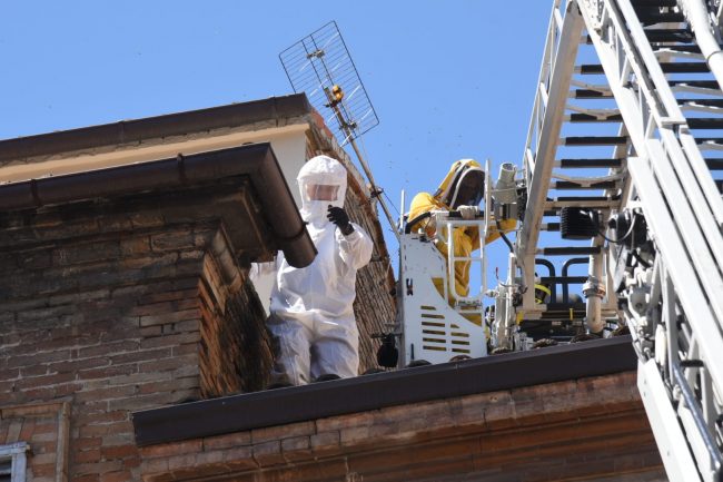 api corso cairoli (1)