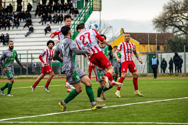 castelfidardo-maceratese