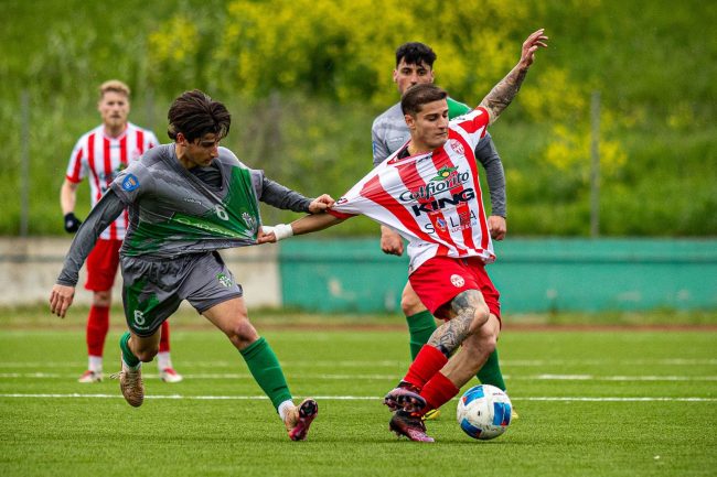 castelfidardo maceratese 4