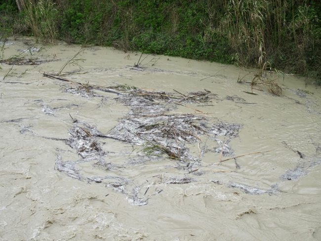 civitanova porto sant'elpidio (3)
