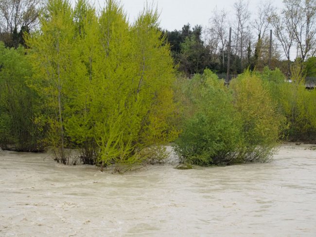 civitanova porto sant'elpidio (4)