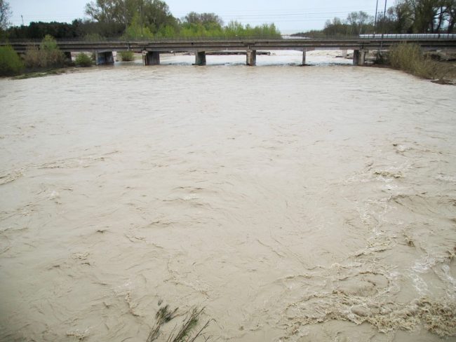 civitanova porto sant'elpidio (5)
