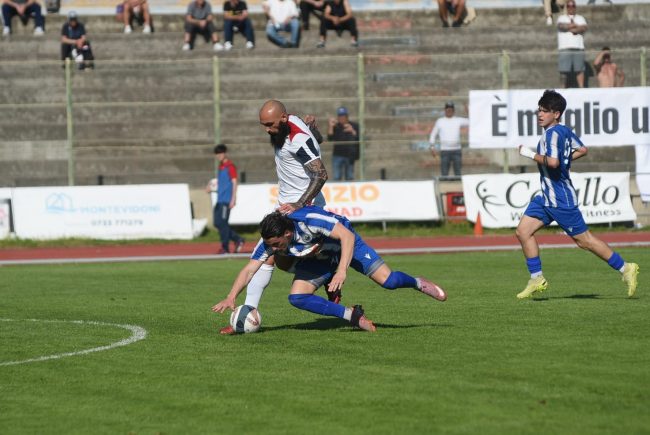 civitanovese fermignanese 3