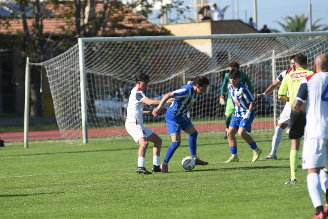 civitanovese fermignanese 6