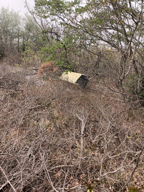 rifiuti abbandonati (2)