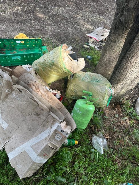 rifiuti abbandonati (3)