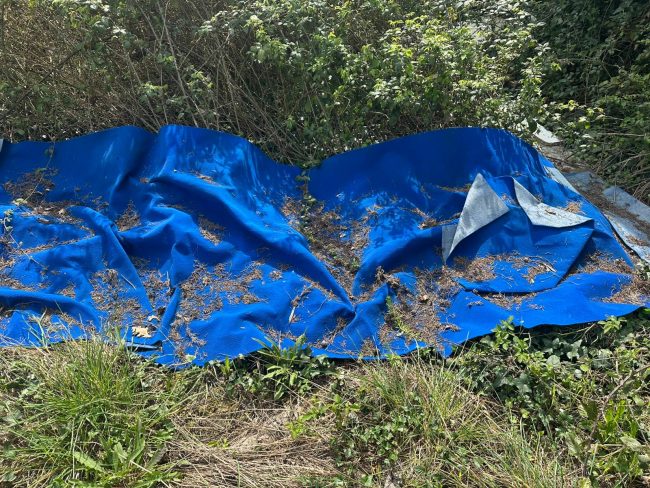 rifiuti abbandonati (5)