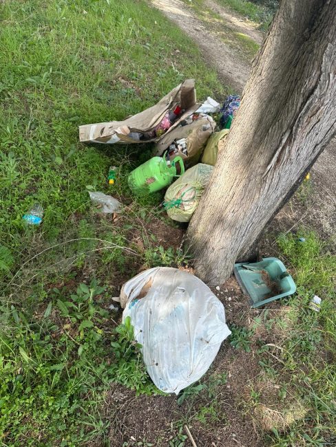rifiuti abbandonati (6)
