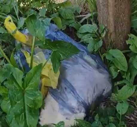 sacchetto cani mogliano