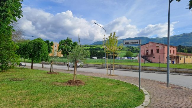 Beljdi Seferi alberi matelica (2)